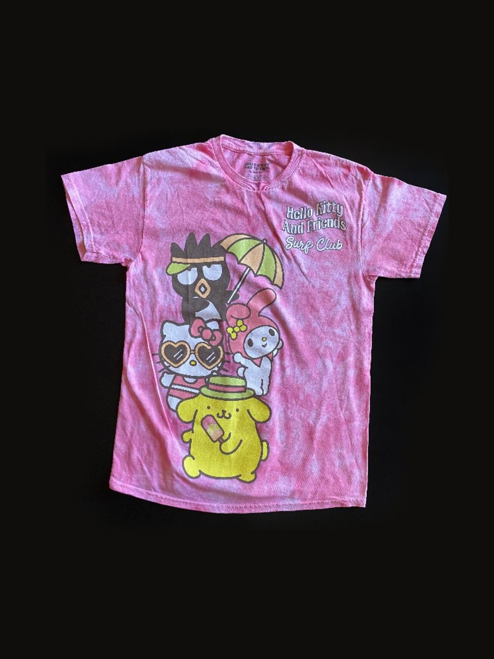 Hello Kitty and Friends Sanrio Squad Cotton Tee Short Sleeves Size M